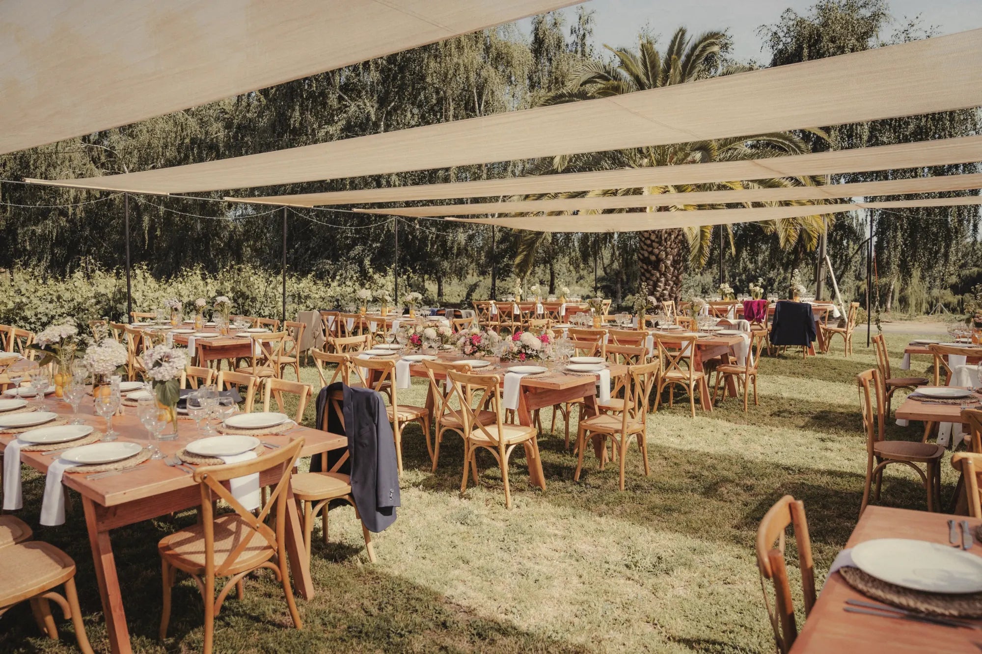 Mesas de banquete bajo toldos junto al viñedo