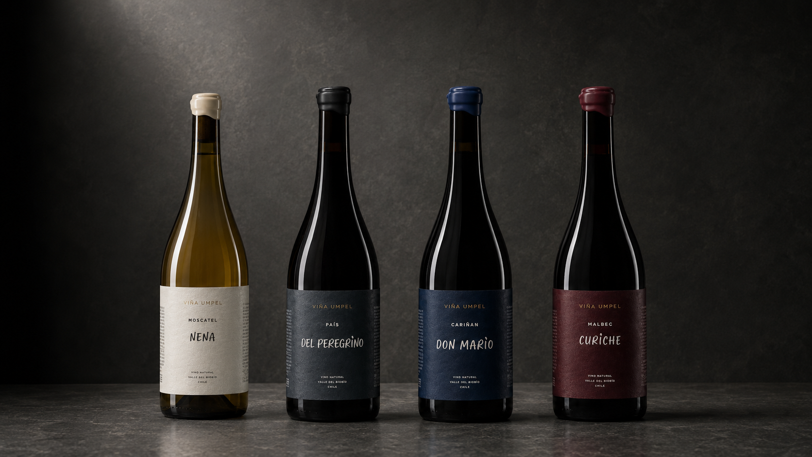 Curiche — Malbec 2024