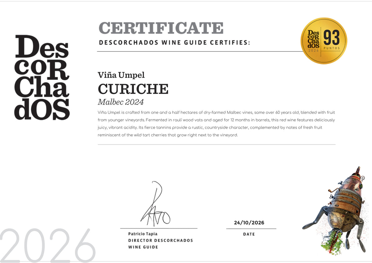 Certificado Guía Descorchados 2026: Curiche Malbec 2024, 93 puntos