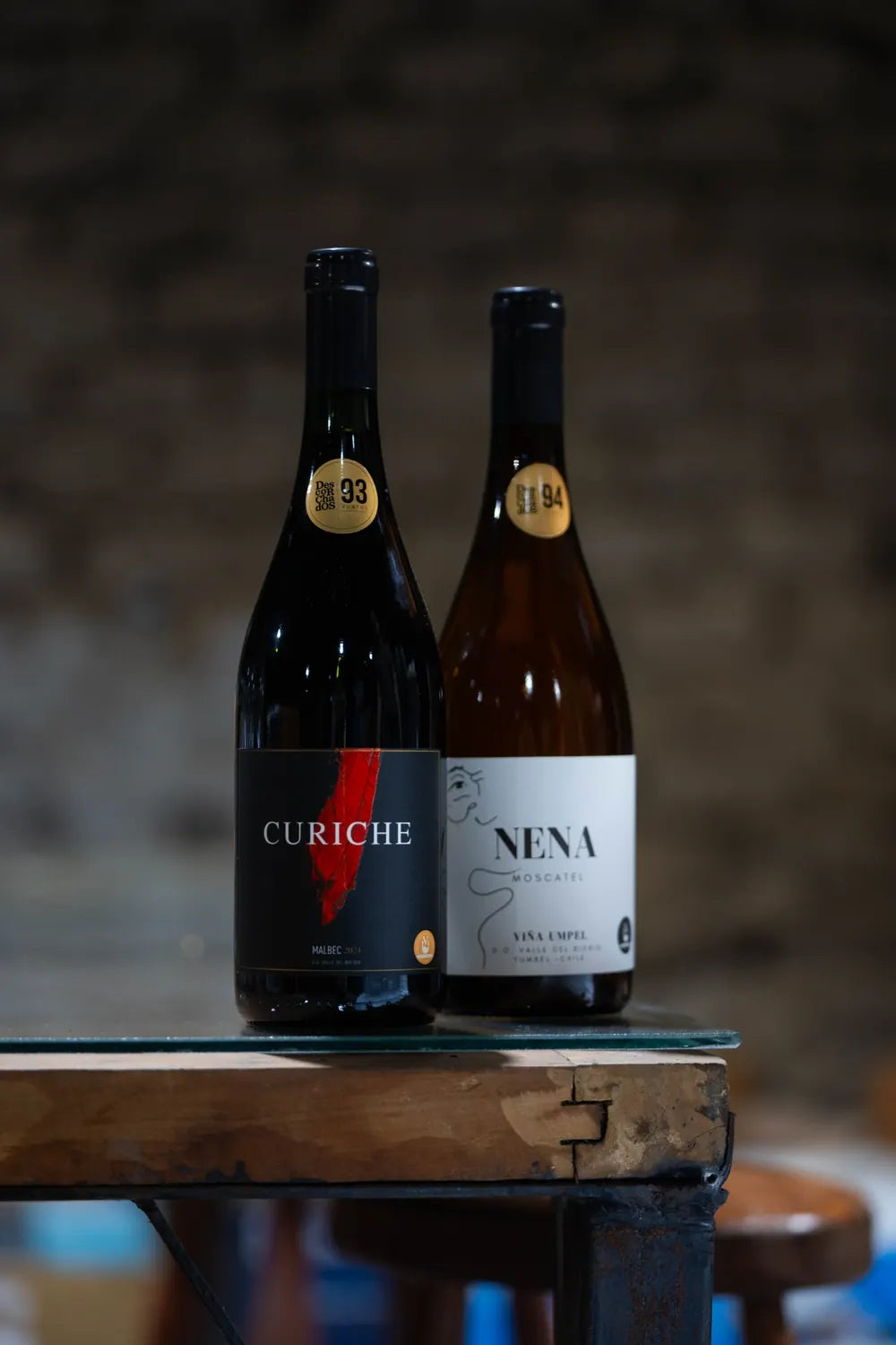 Nena y Curiche en la bodega de Viña Umpel