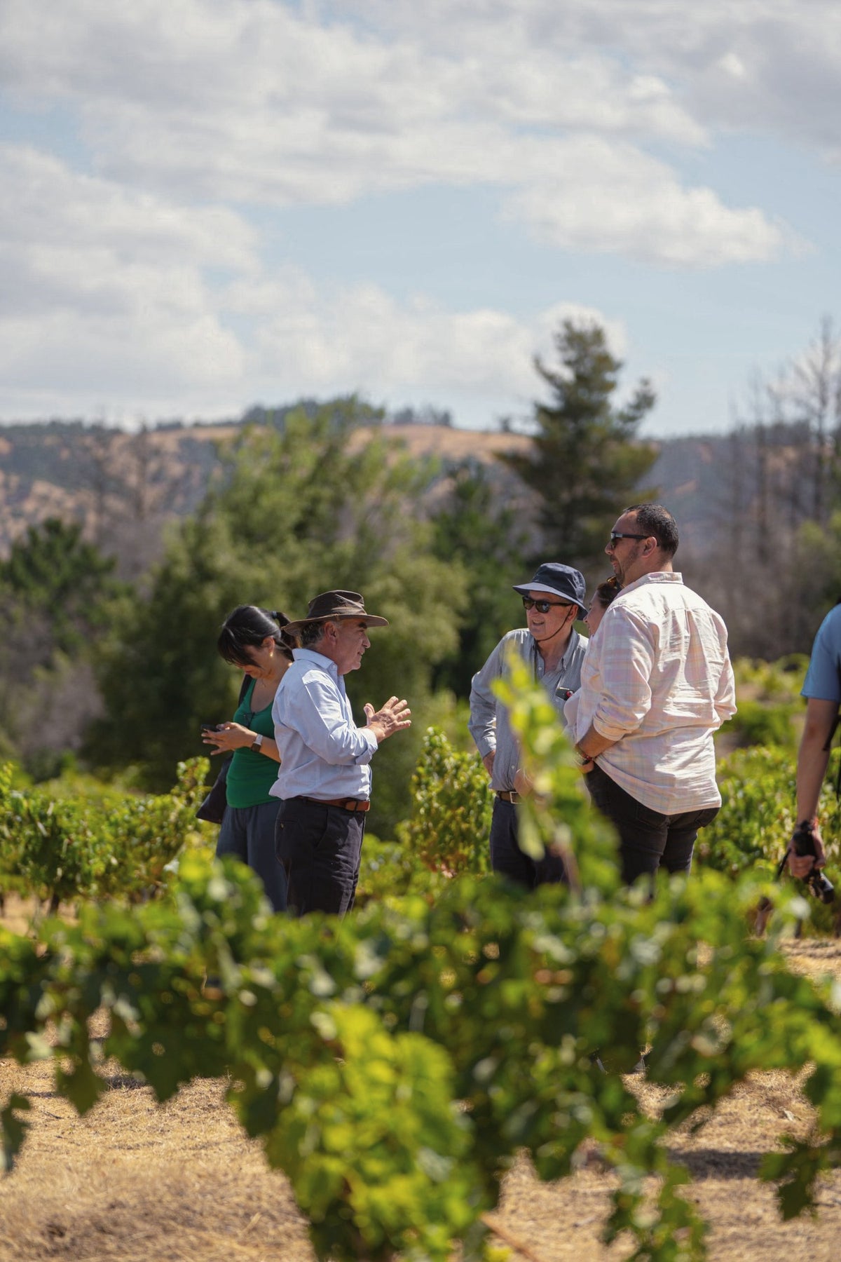 Conversación con visitantes entre las parras
