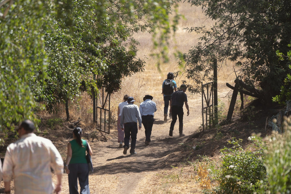Grupo de visita cruzando la tranquera hacia el viñedo