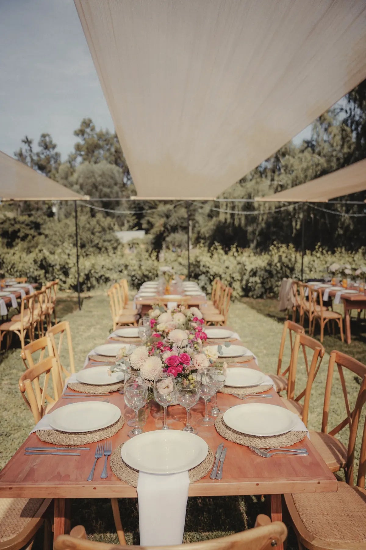 Mesa de banquete bajo toldos con el viñedo de fondo